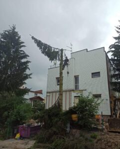 Wycinka drzew Lublin, usługi ogrodnicze, mycie elewacji i bruku